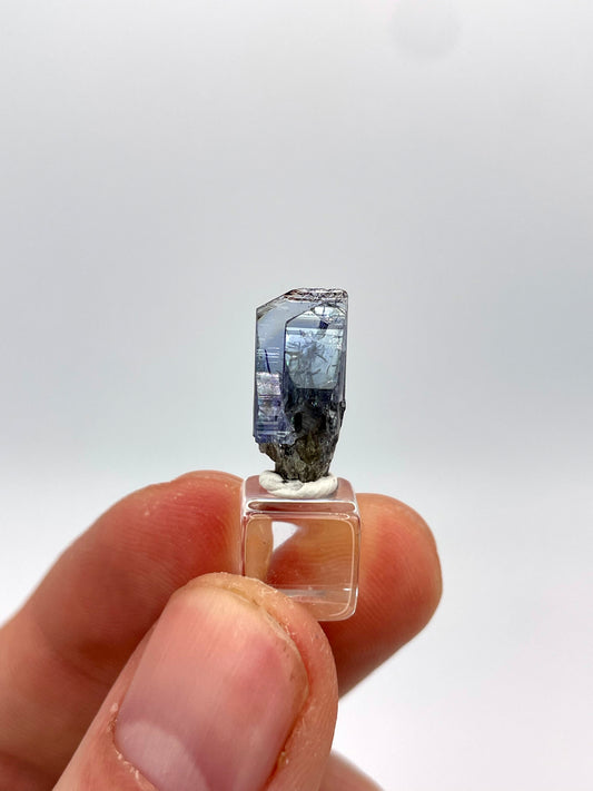 Tanzanite Crystal, Merelani Hills, Tanzania