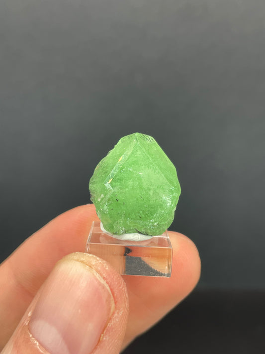 Tsavoirte Garnet, Tanzania